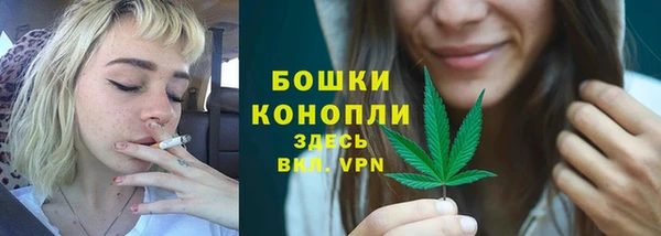 ПСИЛОЦИБИНОВЫЕ ГРИБЫ Арсеньев