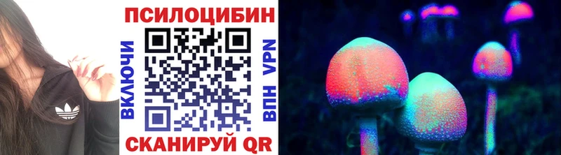 Галлюциногенные грибы Cubensis  Лысьва 